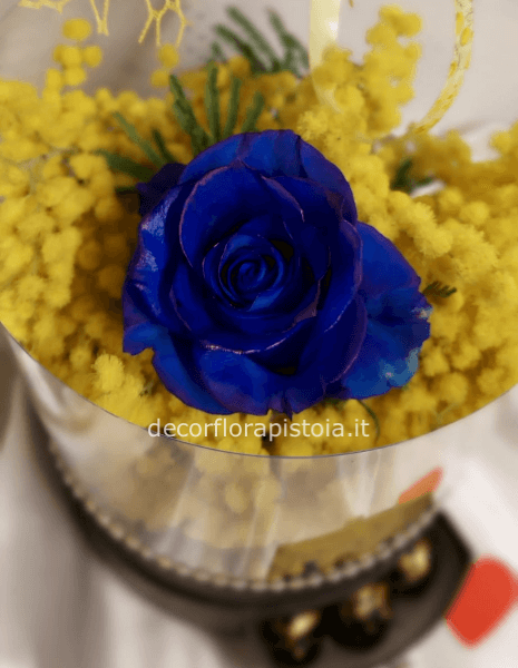flowerbox mimosa,cioccolatini e rosa blu