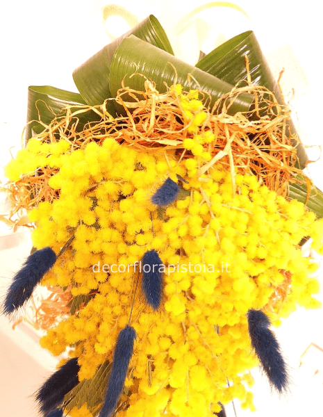 bouquet elegante mimosa e lagurus blu,fatto su struttura,chiuso con foglie di aspidistra e nastro di iuta