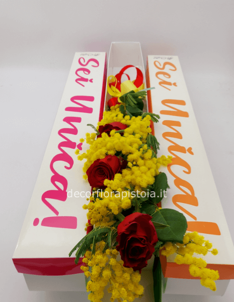 Sei unica scatola grande