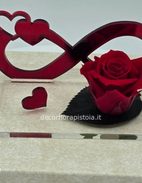 Rosa stabilizzata