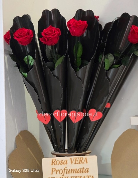 Rosa rossa a stello lungo stabilizzata incartato in cono nero e cuoricino per san valentino